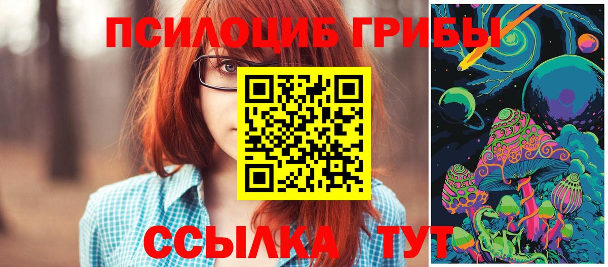 Тосно  Псилоцибиновые грибы Magic Shrooms  Вход с VPN 